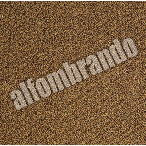 promociones alfombras playa del carmen