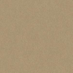 papel tapiz playa del carmen