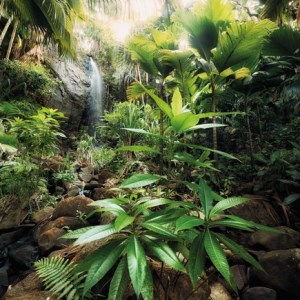 papel tapiz playa cancun