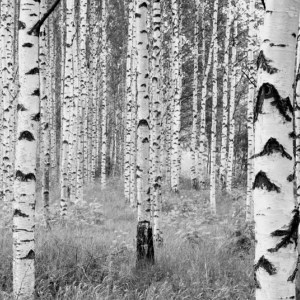 papel tapiz playa cancun