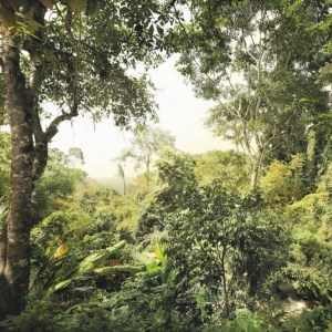 papel tapiz playa cancun