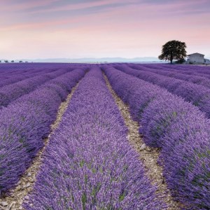 papel tapiz playa cancun