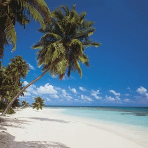 papel tapiz playa cancun