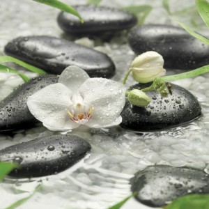 papel tapiz playa cancun