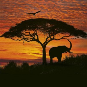 papel tapiz playa cancun